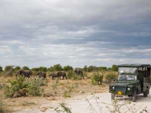 Mushara Outpost Safari im Etosha Nationalpark im Norden NamibiasGamedrive mit Löwen und Elefanten