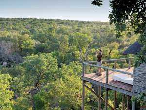 Safari Südafrika Sabi Sands Leopard Hills Game Lodge